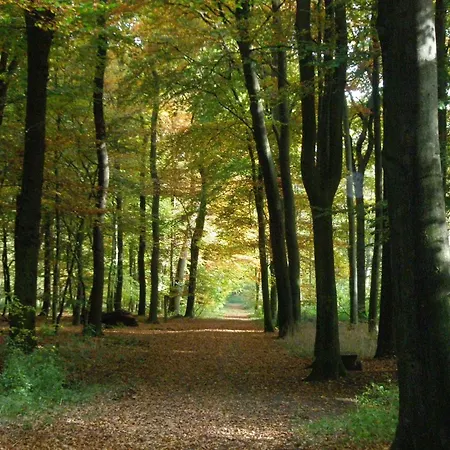 Hardter Auszeit Apartment Dorsten