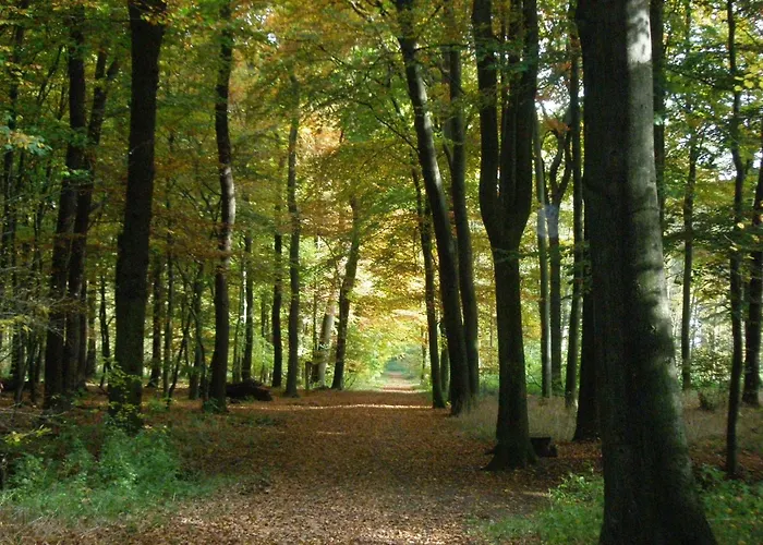 Hardter Auszeit 아파트 토르스텐